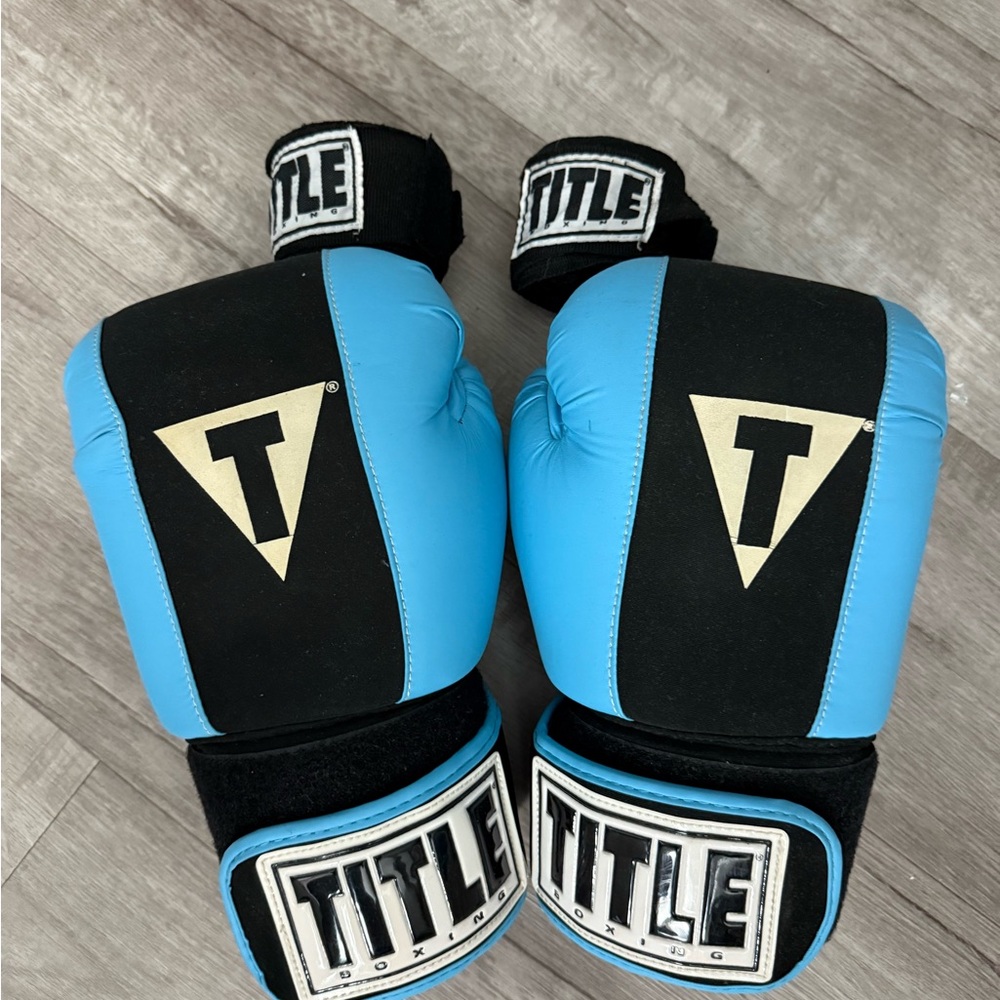 Title Boxing Blue and Black Gloves
